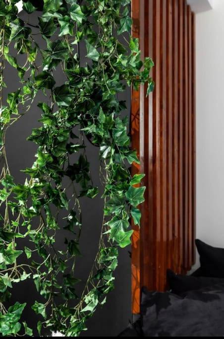 Novel Acropolis Apartment Athene Buitenkant foto